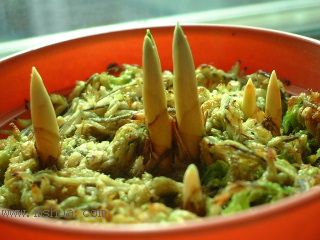 Kee Wee �Nֲ���t��