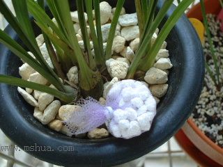 ��һ���ջ�