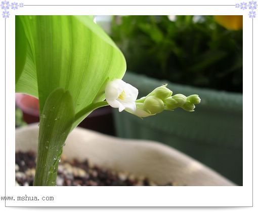 [��ͼ]Rachel�������ֲС�ǣ�