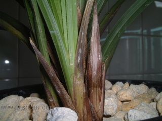 ��һ���ջ�