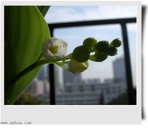 [��ͼ]Rachel�������ֲС�ǣ�