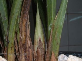 ��һ���ջ�