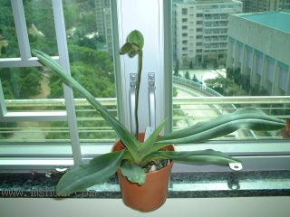 �m���Զ��m (��10¥ �Nֲһ��)