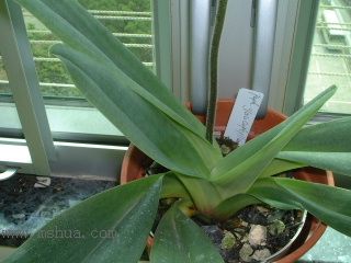 �m���Զ��m (��10¥ �Nֲһ��)