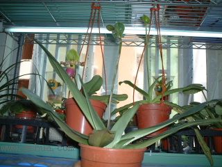 �m���Զ��m (��10¥ �Nֲһ��)