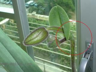 �m���Զ��m (��10¥ �Nֲһ��)