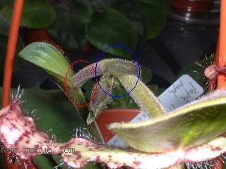 �m���Զ��m (��10¥ �Nֲһ��)