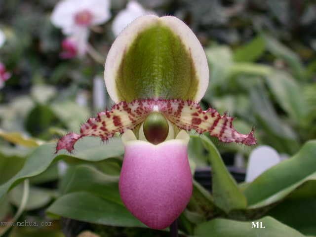 �m���Զ��m (��10¥ �Nֲһ��)