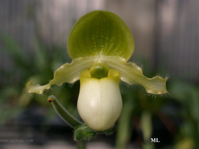 �m���Զ��m (��10¥ �Nֲһ��)