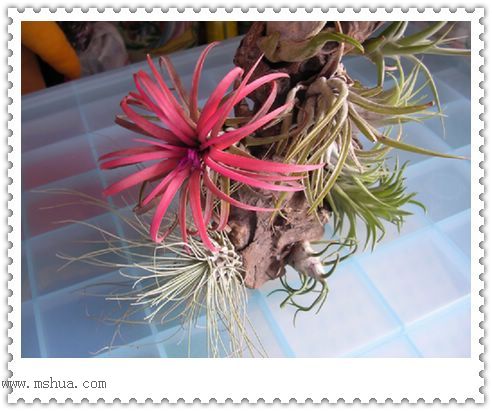 [����]������������������(P12-13���������ޣ�)