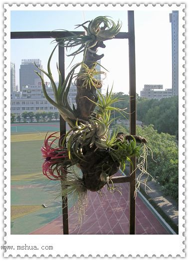 [����]������������������(P12-13���������ޣ�)