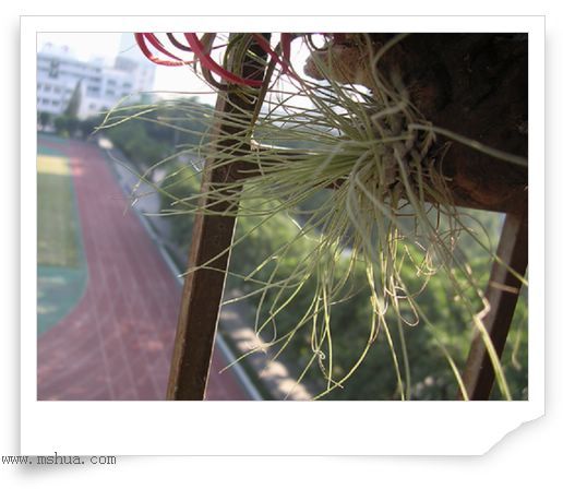 [����]������������������(P12-13���������ޣ�)