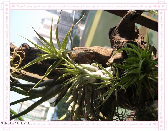 [����]������������������(P12-13���������ޣ�)