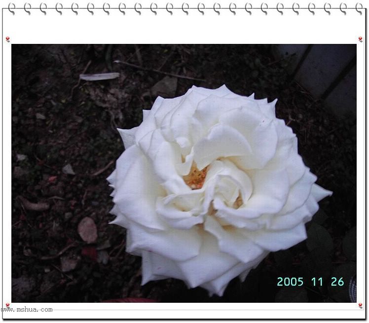 ż���ĵ��¼�