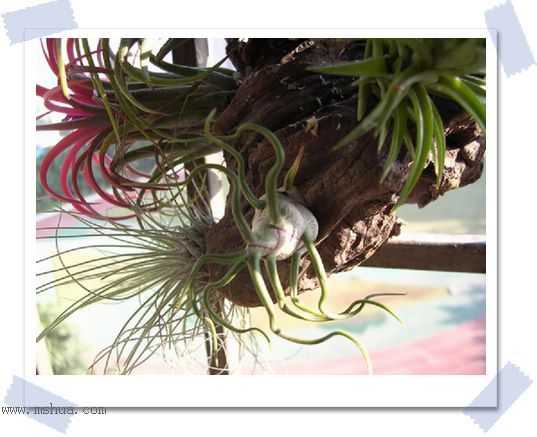 [����]������������������(P12-13���������ޣ�)