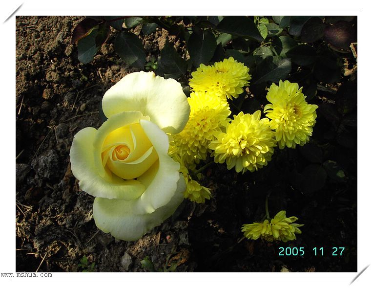 ż���ĵ��¼�