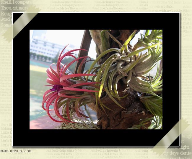 [����]������������������(P12-13���������ޣ�)