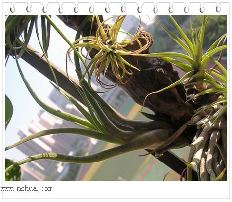 [����]������������������(P12-13���������ޣ�)