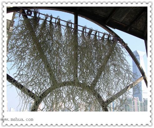 [����]������������������(P12-13���������ޣ�)