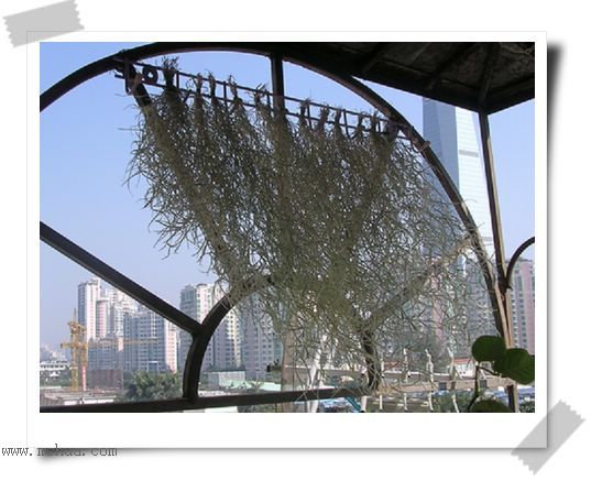 [����]������������������(P12-13���������ޣ�)