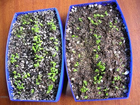 [����]����̦��������