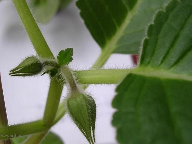 [����]����̦��������