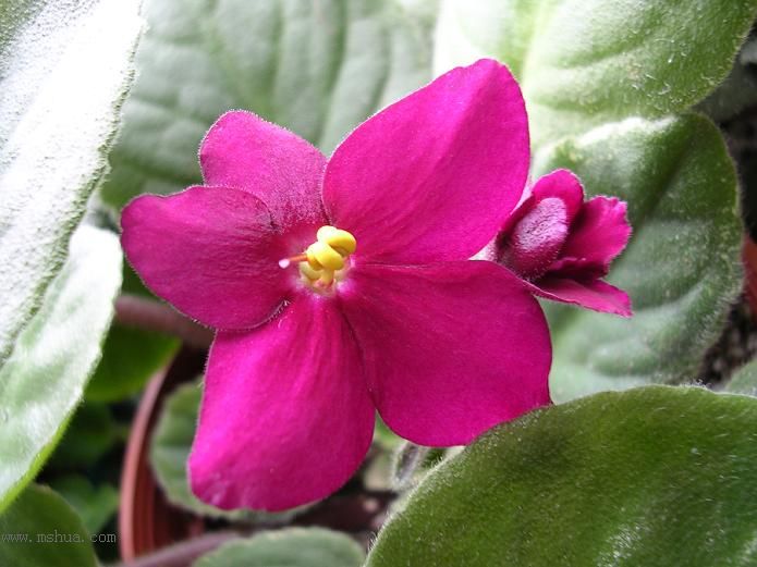 [��ˮ]��������ˮ��