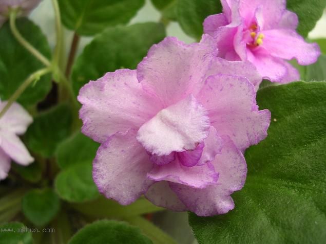 [��ˮ]��������ˮ��