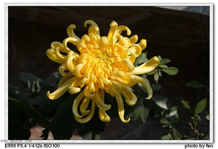 �ջ�--����