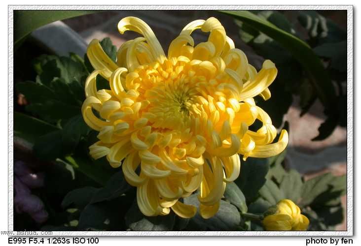 �ջ�--����