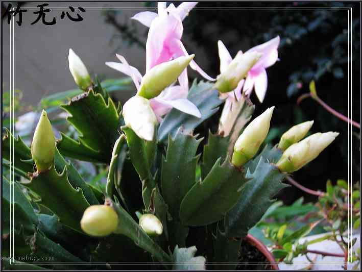 зצ����ing�����Һ졣���ۡ���