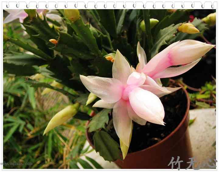 зצ����ing�����Һ졣���ۡ���