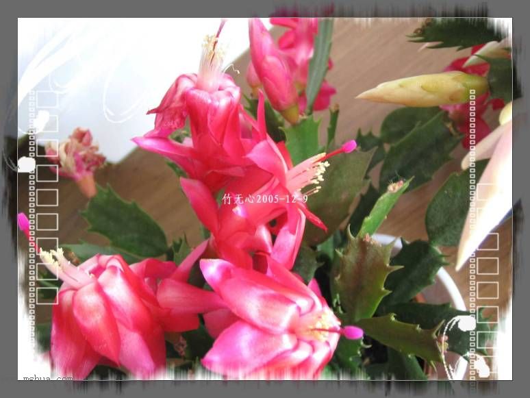 зצ����ing�����Һ졣���ۡ���