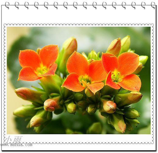 ���¼���,�����Ŷ