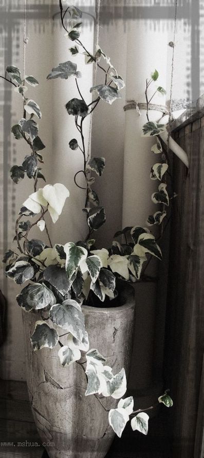 ���¼���,�����Ŷ