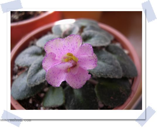 [����]Rachel������С�ǣ�P23��24ȥ������ܻ���d��