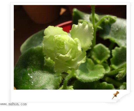 [����]Rachel������С�ǣ�P23��24ȥ������ܻ���d��