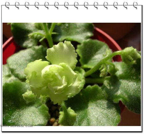 [����]Rachel������С�ǣ�P23��24ȥ������ܻ���d��