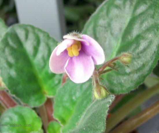 ���¼ҵ�������