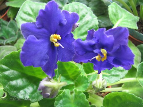 ���¼ҵ�������