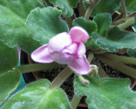 ���¼ҵ�������