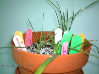 �L���m�Nֲ RAINLILY