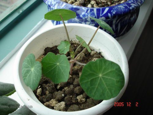 �ո�����żҲ��������