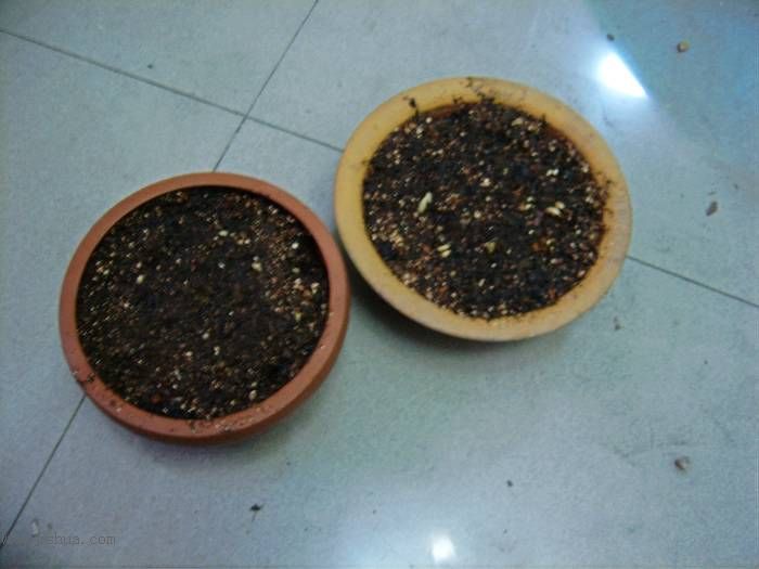 �����ŵ�����