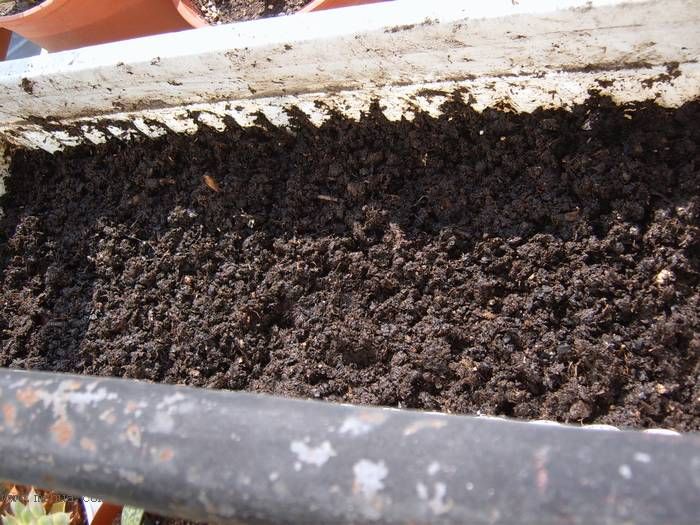 �����ŵ�����