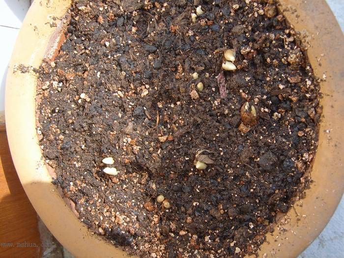 �����ŵ�����