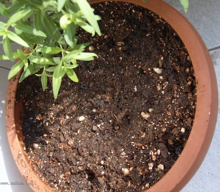 �����ŵ�����