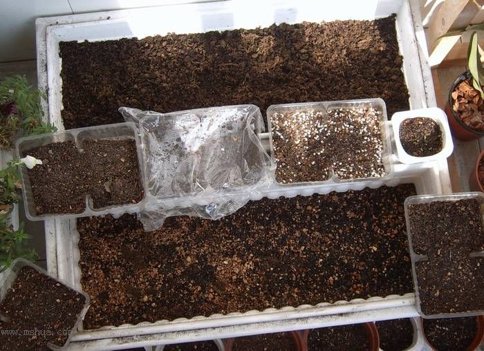 �����ŵ�����