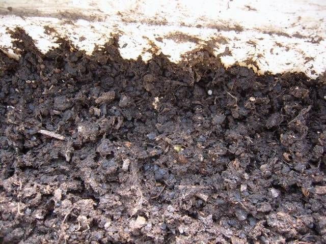 �����ŵ�����