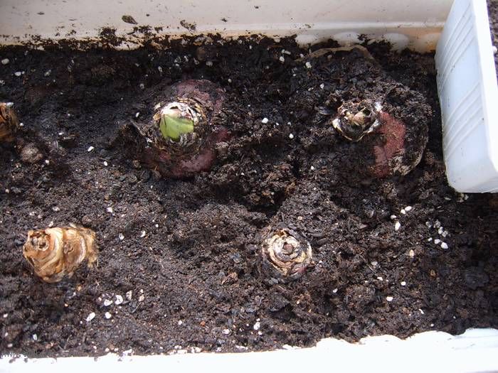 �����ŵ�����